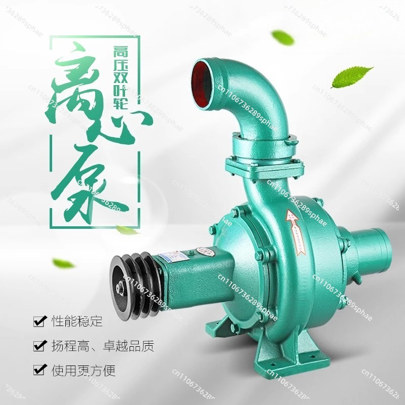 High Pressure High Head Large  - Diesel Water Pump 评论和价格