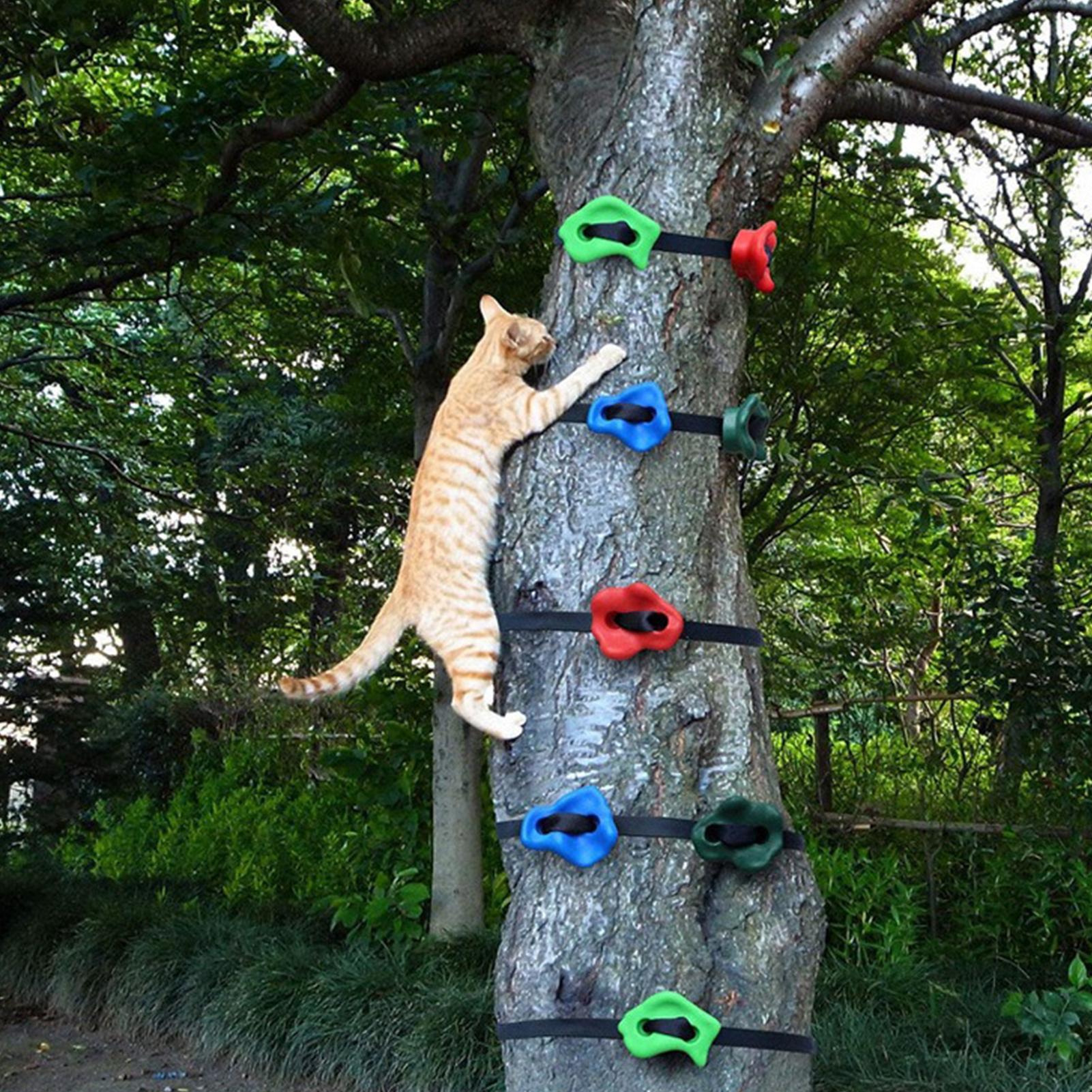 Tree Climbing Gear Adjustable  - Heavy Equipment Course 评论和价格