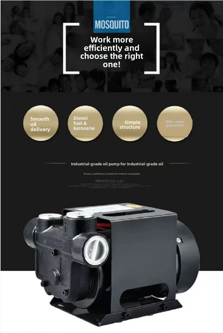 New Electric Oil Pump 12V Dies - Diesel Water Pump 评论和价格