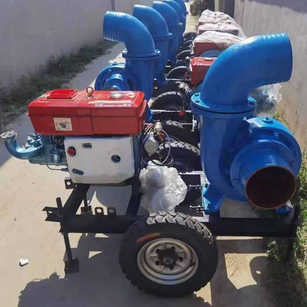 Customized Power Diesel Engine - Diesel Water Pump 评论和价格